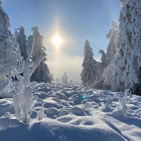 Hochsauerlandblick *