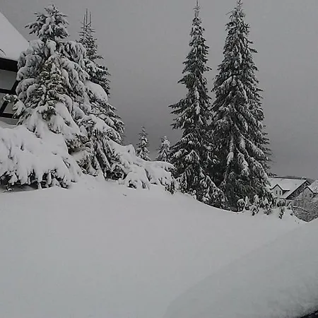 Hochsauerlandblick