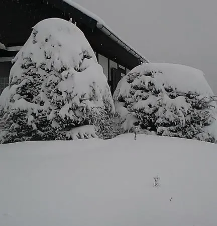 Holiday Home With Private Garden Winterberg
